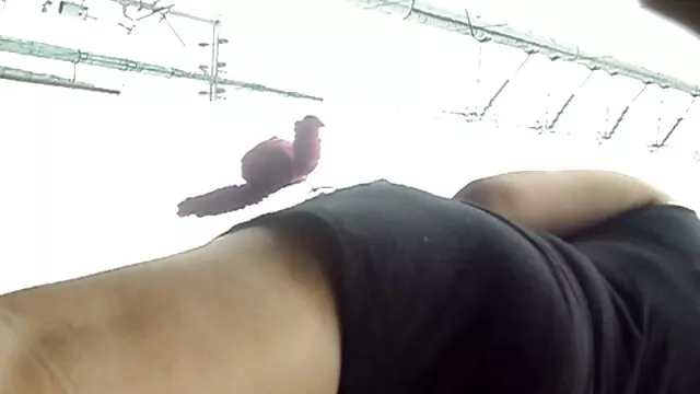 عوقب اروع سكس افلام ريلي ريد قصه وسناريو احترافي مترجم للعربيه المراهق الشاحب ليلي بقضيب أسود كبير